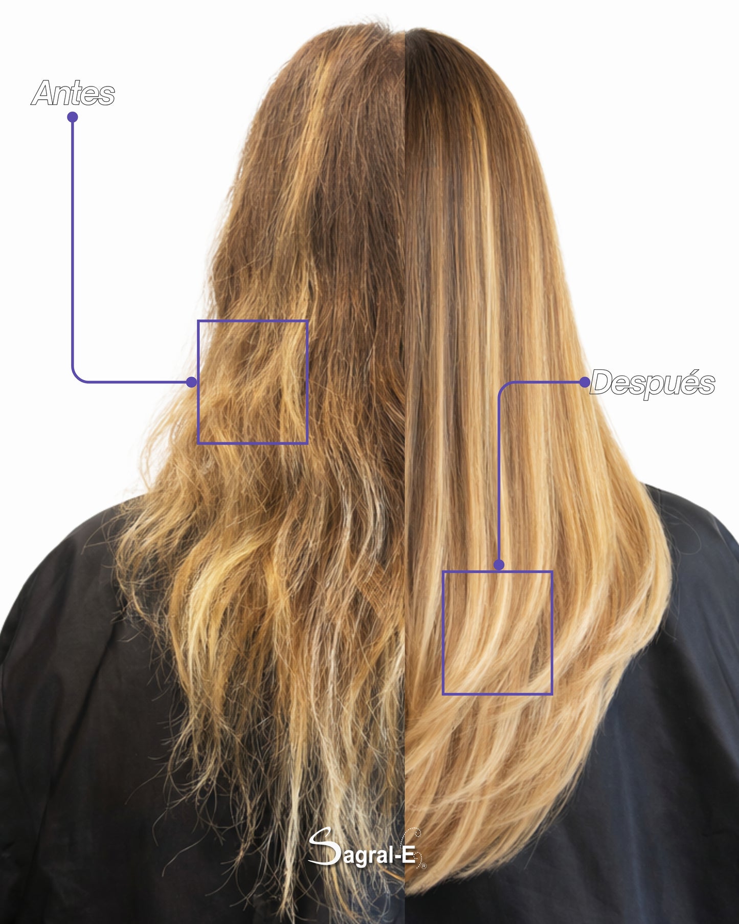 Bifásico Hidratante Violeta Paso 3