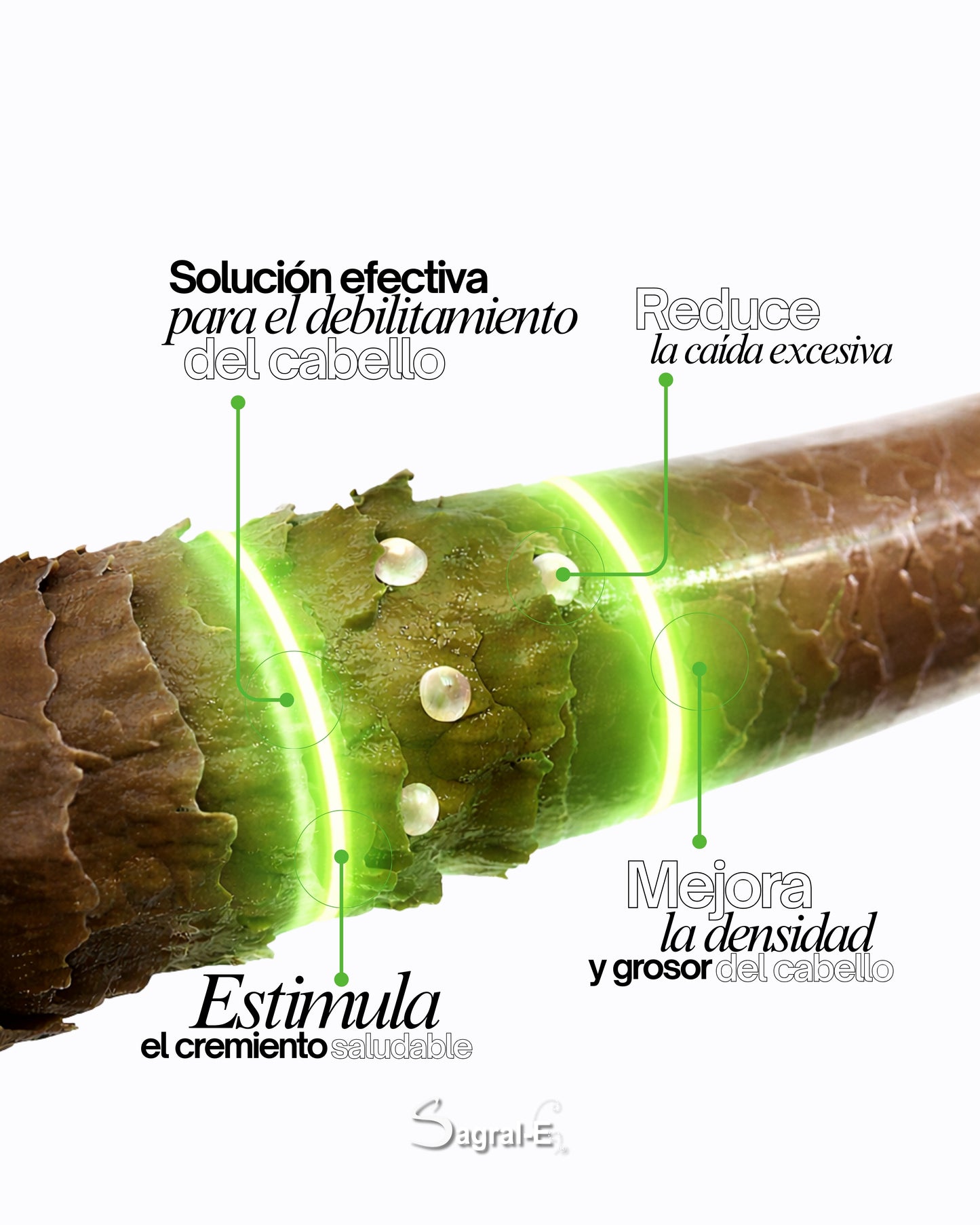 Shampoo Anti caída Paso A