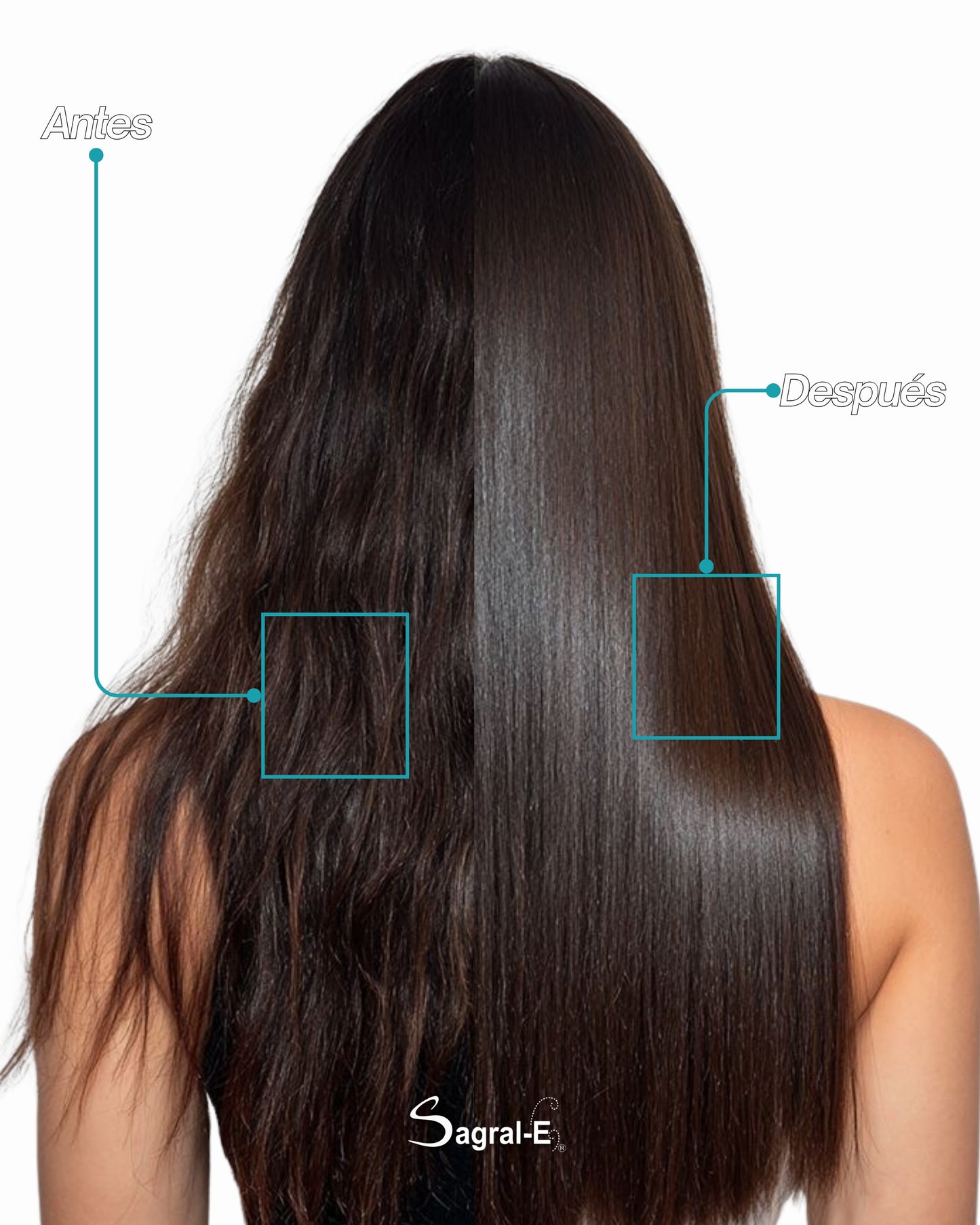 Shampoo Hidratante Acido Hialuronico Fase 3