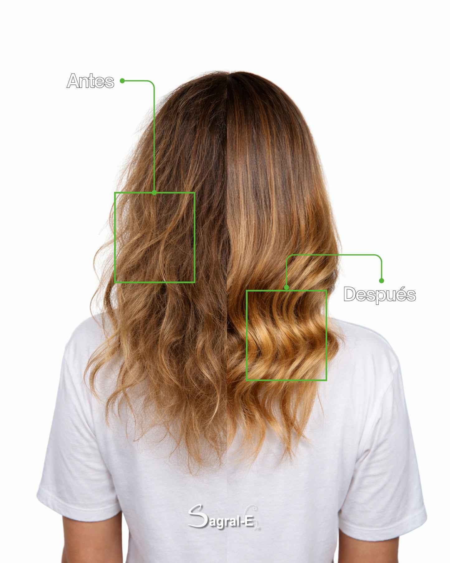 Balsamo Hidratante Aloe Vera  Paso B